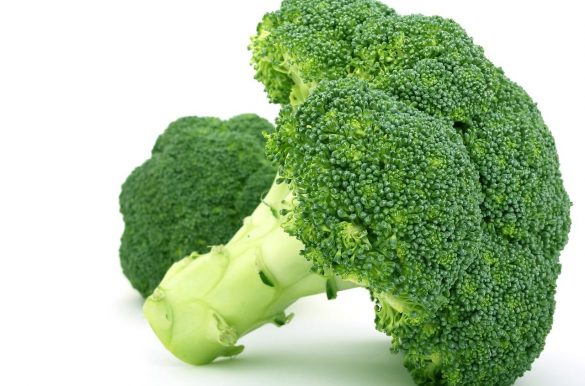 Broccoli against a white background.